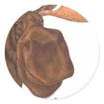 moose stickers by thrillpictures moose stickers