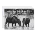 Moose Supper; Gift Certificate Custom Invite