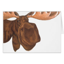 moose_transperant_2 cards by moosecard moose_transperant_2 cards