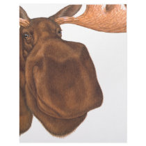 moose_transperant_2 letterhead by moosecard moose_transperant_2 letterhead