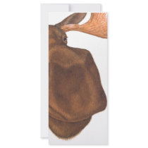 moose_transperant_2 rack cards by moosecard moose_transperant_2 rack cards
