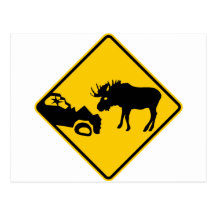 Moose Warning Sign from Gros Morne National Park Postcard