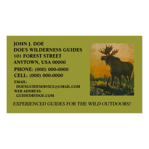 MOOSE WILDERNESS OUTDOOR SERVICES ~ BUSINESS CARD (front side)