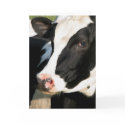 Mooving on Up! cards by KiraDott Mooving on Up! cards