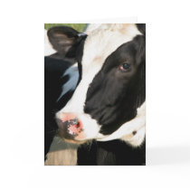 Mooving on Up! cards