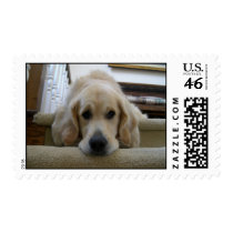 Mopey Tess postage by ddesautels Mopey Tess postage