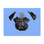 mops puppy babyblue post cards