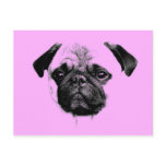 mops puppy pink post card