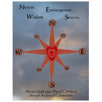 Moral Compass 2 t-shirts
