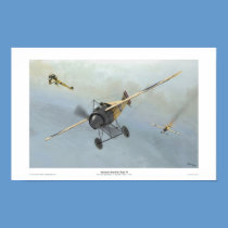 Morane-Saulnier Type N posters