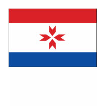 Mordovia Flag T-shirt