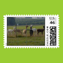 More alpacas postage postage