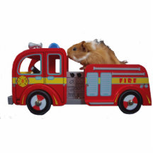more firefighter gina acrylic cut outs