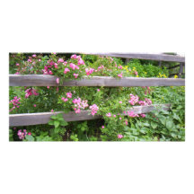 More Flowers on a Fence Photo Card Template