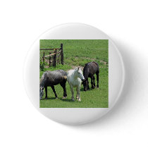 More Horses! Pinback Button