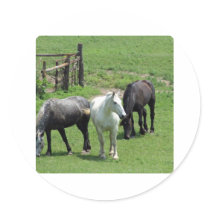 More Horses! Round Sticker