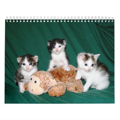 More kittens! calendar by terri_lg