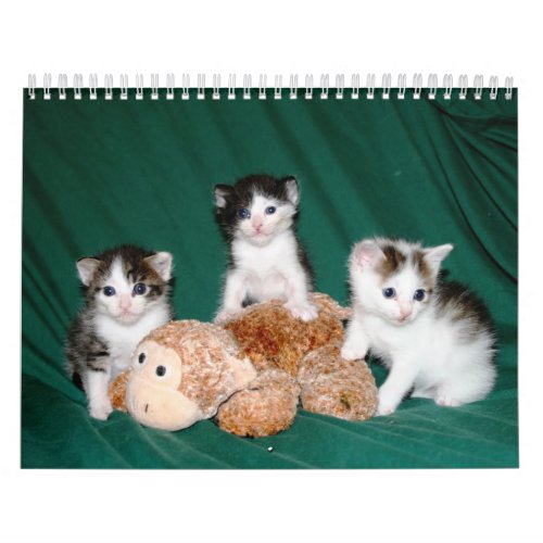 More kittens! calendar