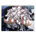 more kitties calendars