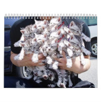 more kitties calendars by tristajohnson more kitties calendars