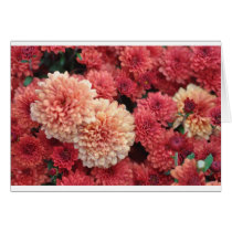 More Mums cards