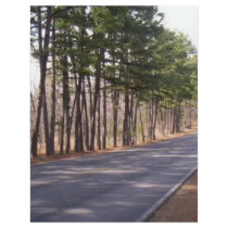 More Open Road letterhead