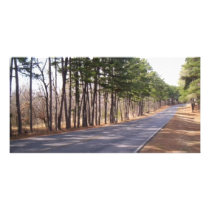 More Open Road photo cards