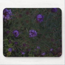 More purple flowers mousepads
