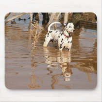 More Reflections mousepads