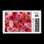 More Roses stamps