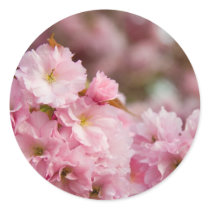 More Sakura Blossoms stickers by AryadnaDesign More Sakura Blossoms stickers