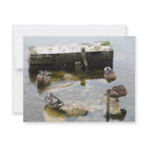 More Sleeping Ducks invitations by A_Phoenix More Sleeping Ducks invitations