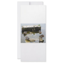 More Sleeping Ducks Personalized Rack Card