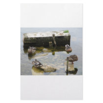 More Sleeping Ducks stationery