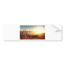 More Summer Gear Bumper Sticker