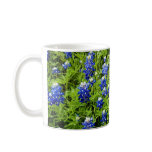 More Texas Bluebonnets