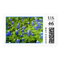 More Texas Bluebonnets postage by JaguarPhotos More Texas Bluebonnets postage