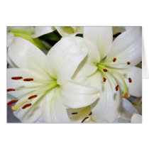 More White Lilies cards