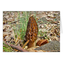 Morel Mushroom Greeting Card