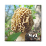 Morel Mushroom Magnet