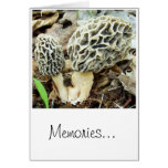 Morel Mushroom Memories Greeting Cards