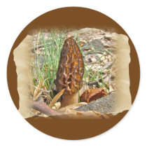 Morel Mushroom Sticker