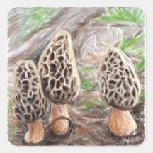 Morel Mushroom Stickers