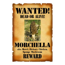 Morel - Wanted Dead or Alive posters by VintagePrints Morel - Wanted Dead or Alive posters