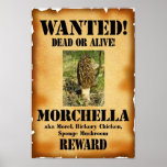 Morel - Wanted Dead or Alive Posters