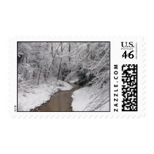 moresnowpics2010 009 postage
