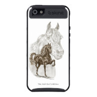 Morgan Gaited Horse Art iPhone 5 Cases