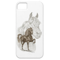 Morgan Gaited Horse Art iPhone 5 Covers