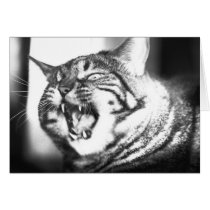 Morgan Growl cards