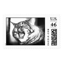 Morgan Growl postage